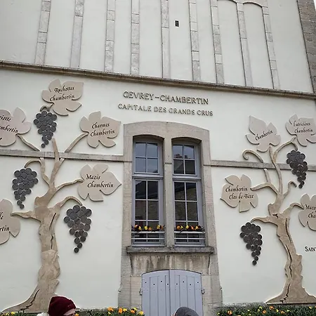 Le Richebourg - Charmant T2 Cosy, tout confort Gevrey-Chambertin Extérieur photo