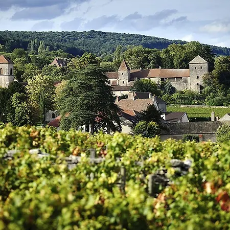 Le Richebourg - Charmant T2 Cosy, tout confort Gevrey-Chambertin Extérieur photo