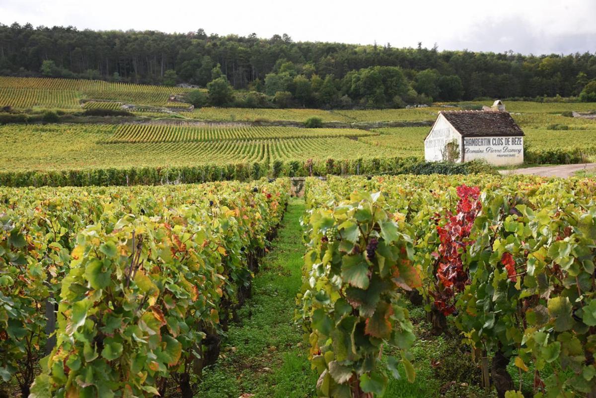 Le Richebourg - T2 Cosy, Confort *
