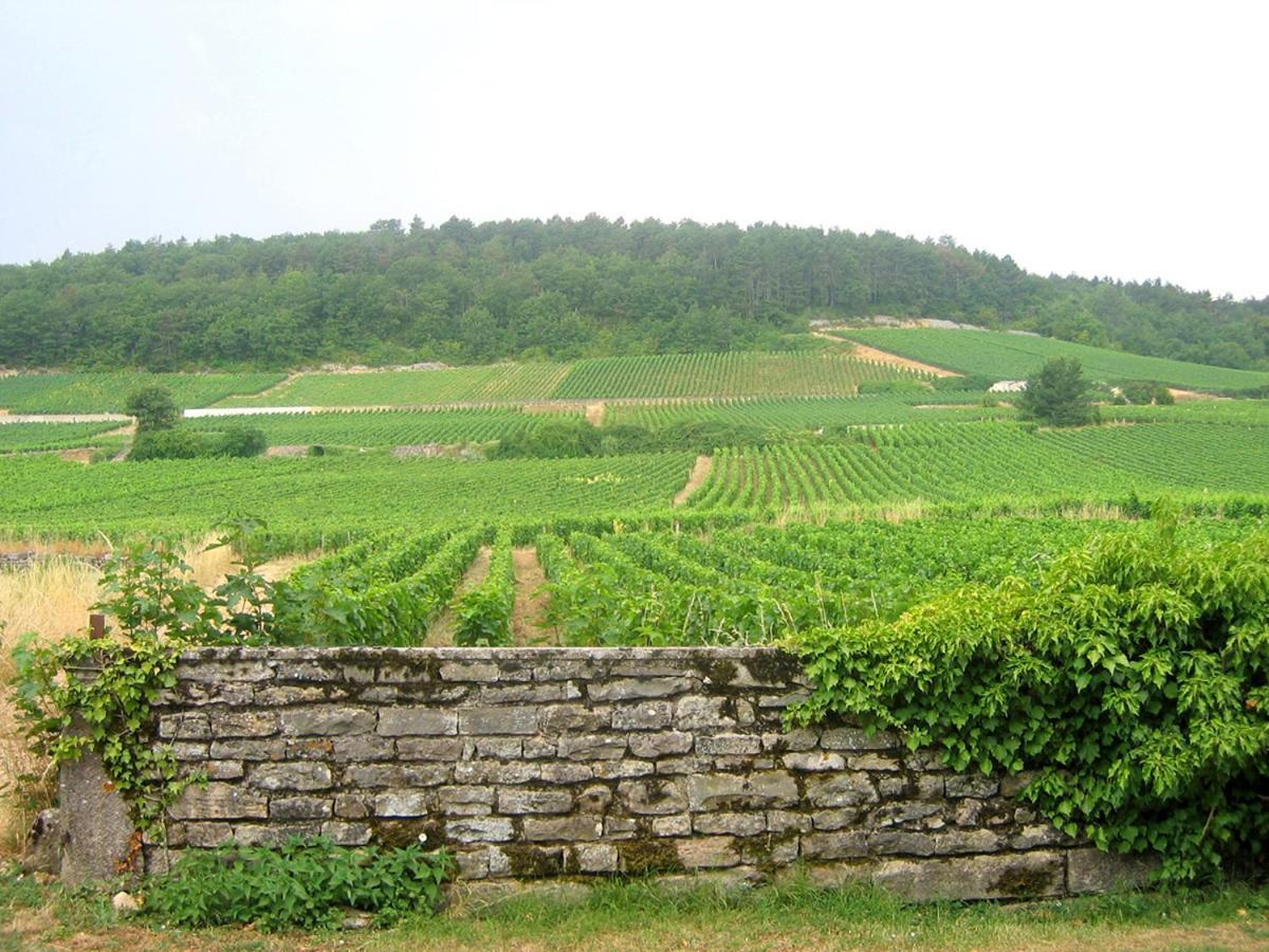 Le Richebourg - T2 Cosy, Confort * Gevrey-Chambertin