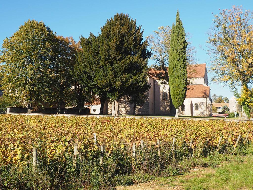 Le Richebourg - T2 Cosy, Confort Appartement
