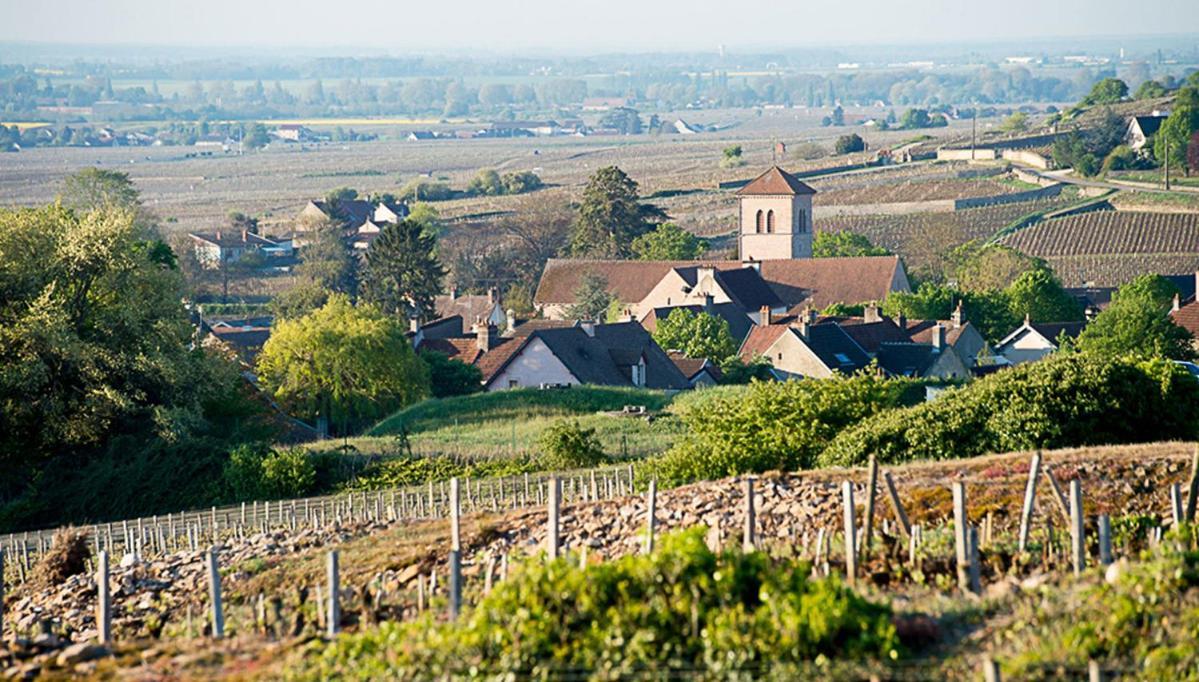 Appartement Le Richebourg - T2 Cosy, Confort Gevrey-Chambertin
